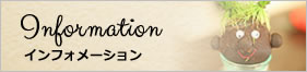 インフォメーション